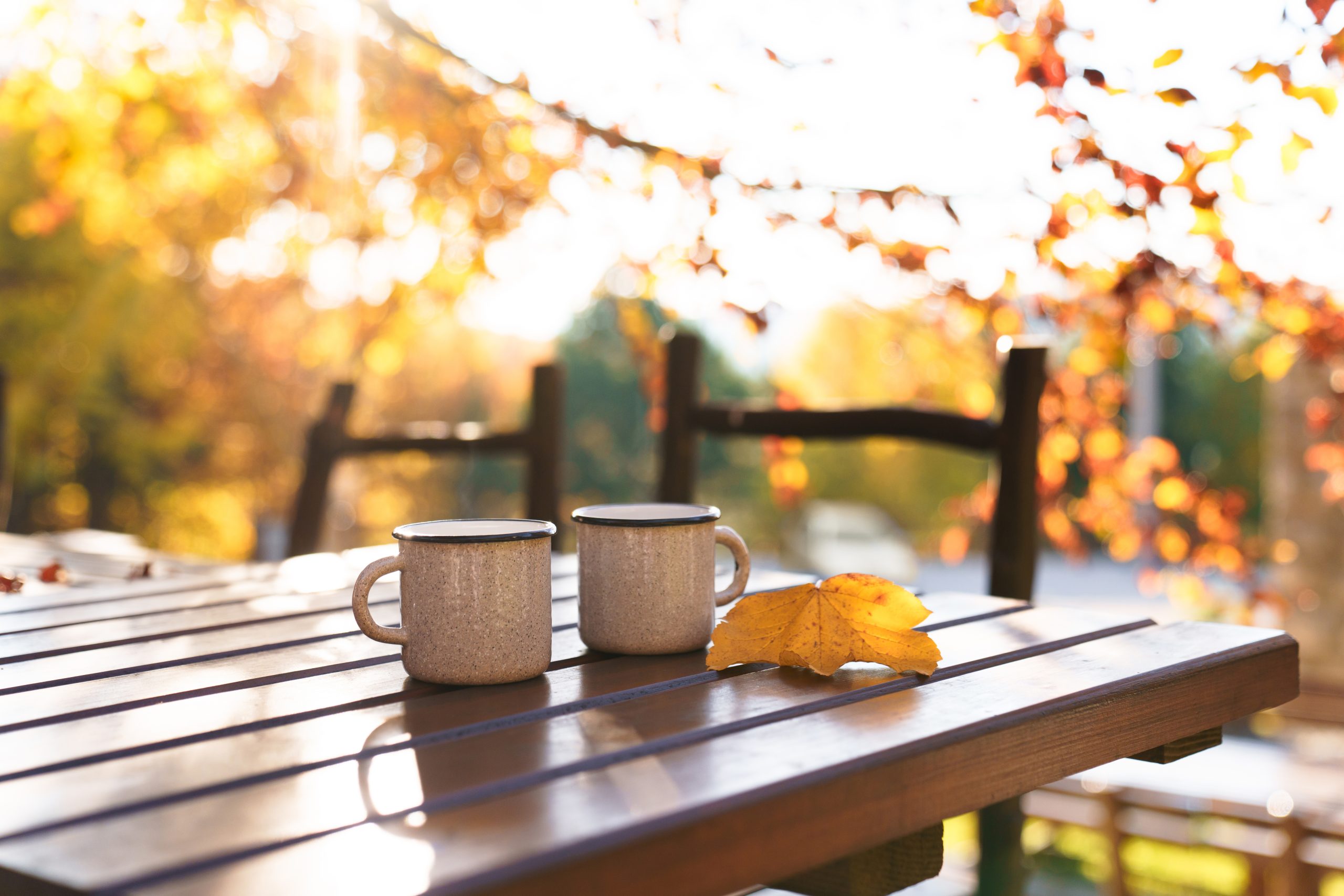 outono em SP: roteiro para curtir a estação