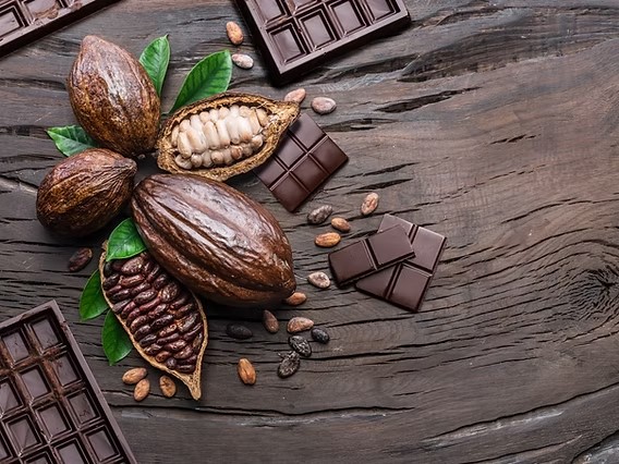 Sabores raros ganham destaque em feira de chocolate