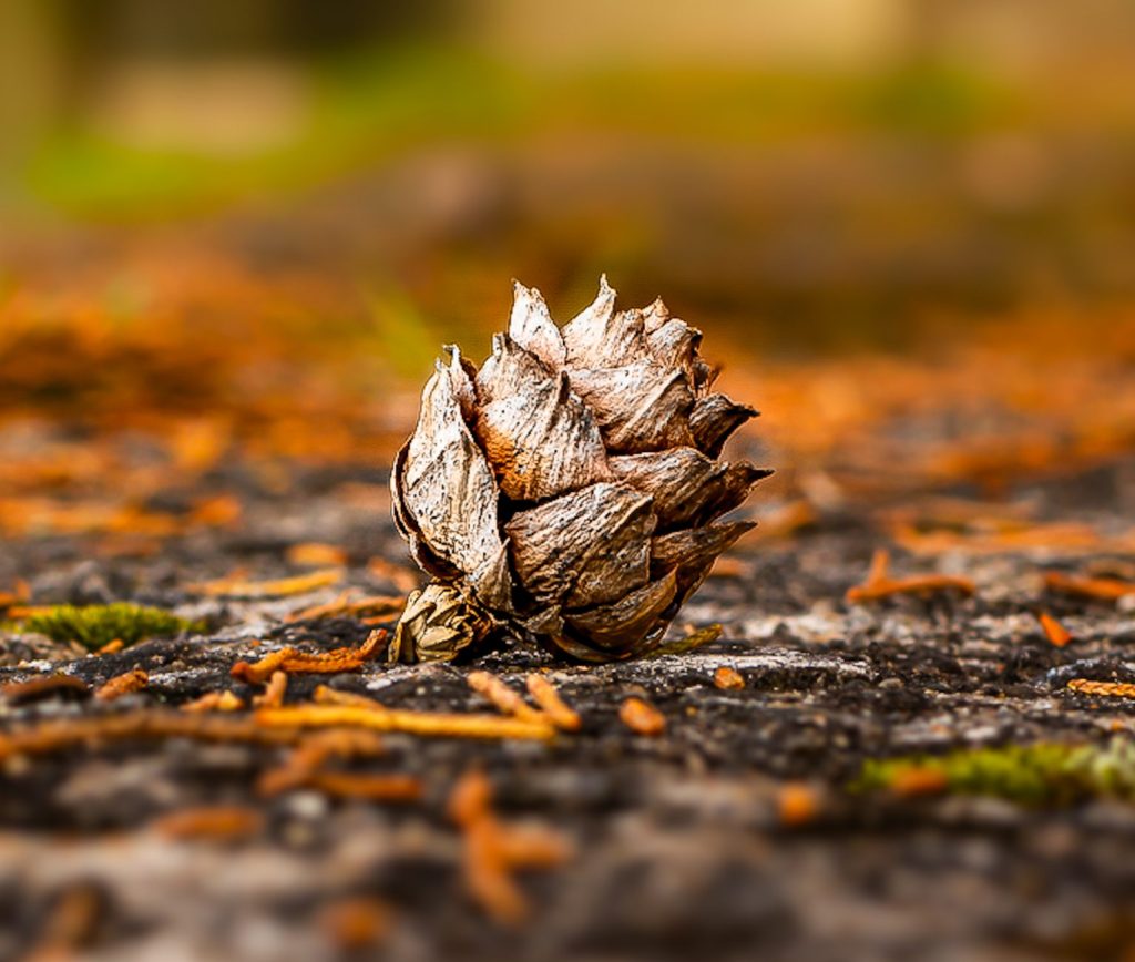 5 destinos para viajar no outono