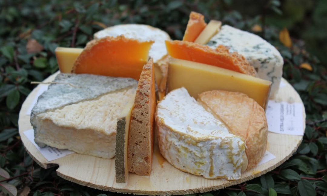 “Mundial do Queijo Brasil” reúne produtores e experiências