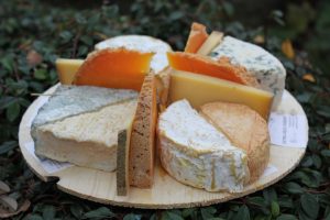 “Mundial do Queijo Brasil” reúne produtores e experiências