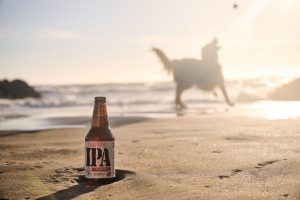 Cerveja e adoção unem dogs em tarde especial