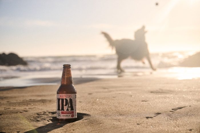 Cerveja e adoção unem dogs em tarde especial