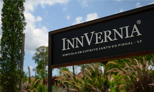 Rotas do vinho revelam sabores no interior de SP