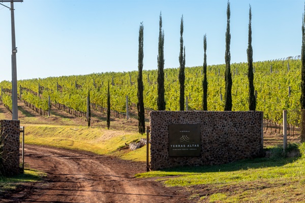 Rotas do vinho revelam sabores no interior de SP