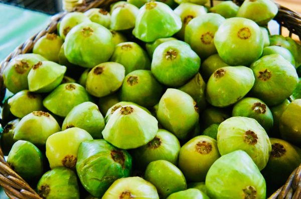 Festival do Cambuci agita Paranapiacaba