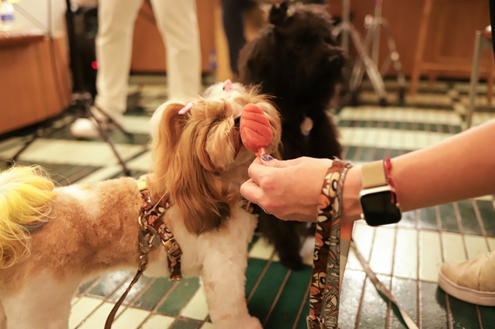 Gelateria lança picolés pets com frutas da estação