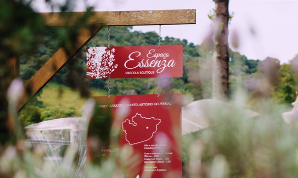 Rotas do vinho revelam sabores no interior de SP