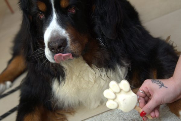 Luckau amplia cardápio com sorvetes