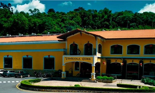 Rotas do vinho revelam sabores no interior de SP