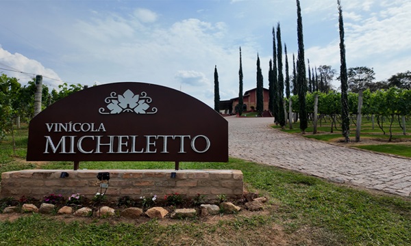 Rotas do vinho revelam sabores no interior de SP