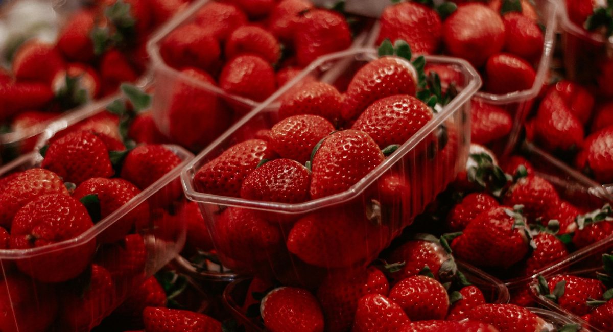 Festival do morango é atração gratuita no ABC