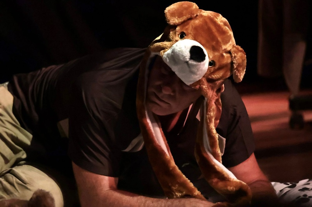 7 x 1 – Uma Comédia Boa pra Cachorro