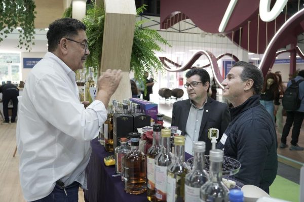 Feiras celebram 10 anos com foco em enoturismo, inovação e mercado internacional