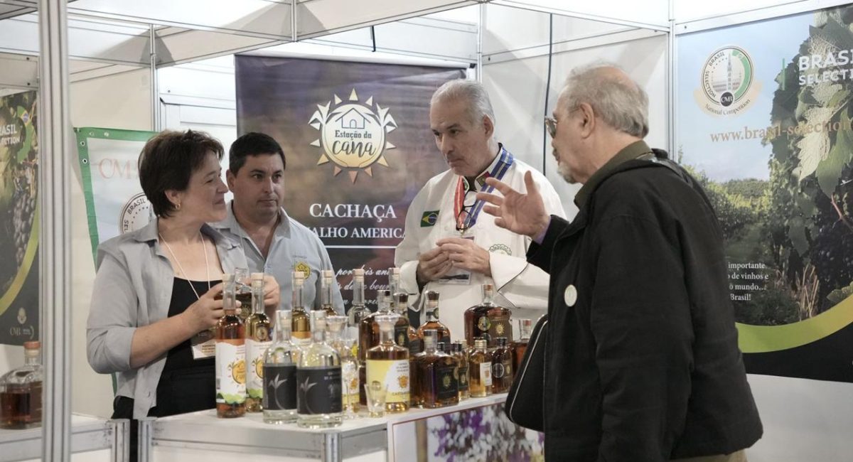 Feiras celebram 10 anos com foco em enoturismo, inovação e mercado internacional