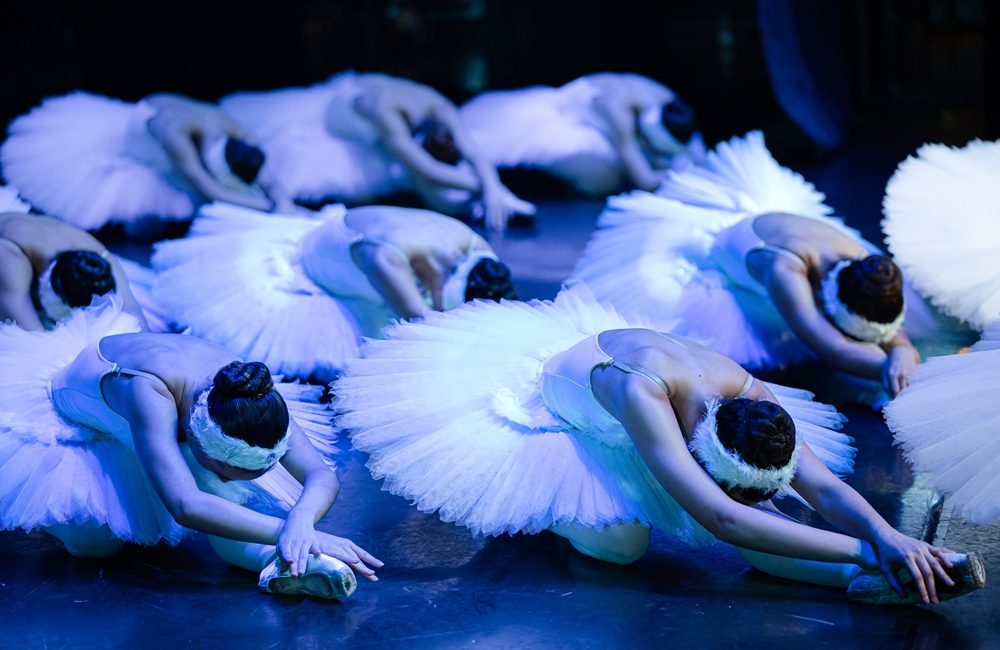 O Lago dos Cisnes, Cia Paulista de Dança