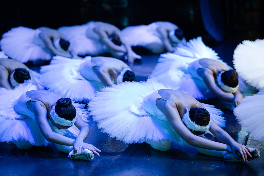 O Lago dos Cisnes, Cia Paulista de Dança