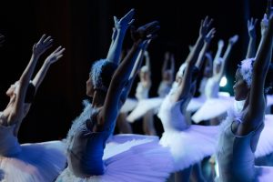 O Lago dos Cisnes, Cia Paulista de Dança