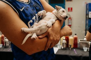 Frei Caneca terá aula de drinks e adoção de pets