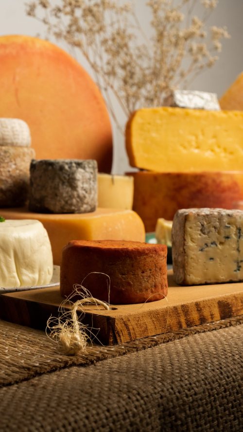 Feira reúne o melhor do queijo artesanal paulista