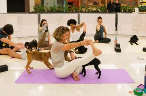 Dog Yoga