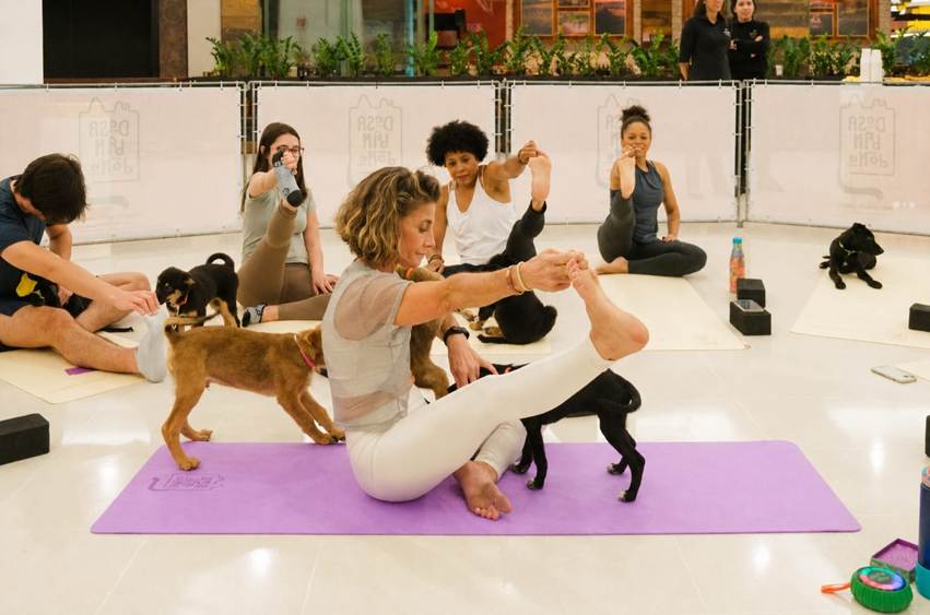 Dog Yoga