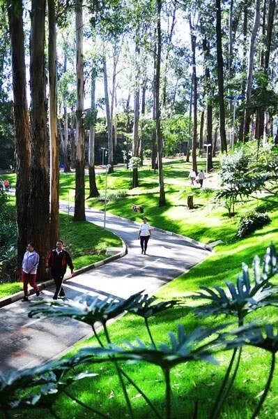 Lugares instagramáveis para conhecer em SP