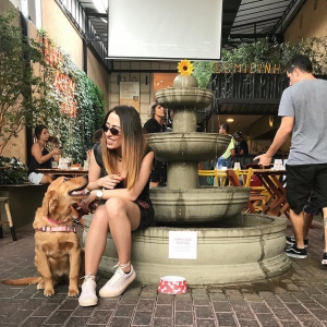 Onde ir com o pet no 'Dia do Cachorro'