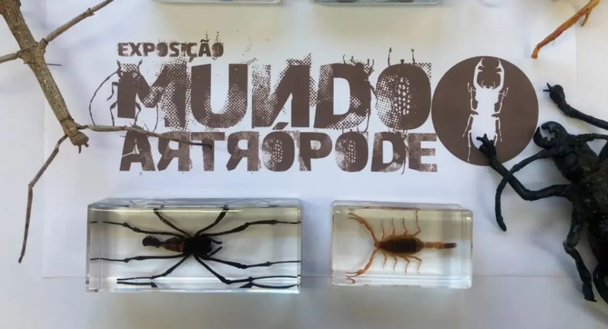 Mundo Artrópode