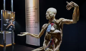 exposição human bodies