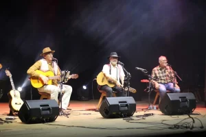Mostra Violas Brasileiras em São Paulo